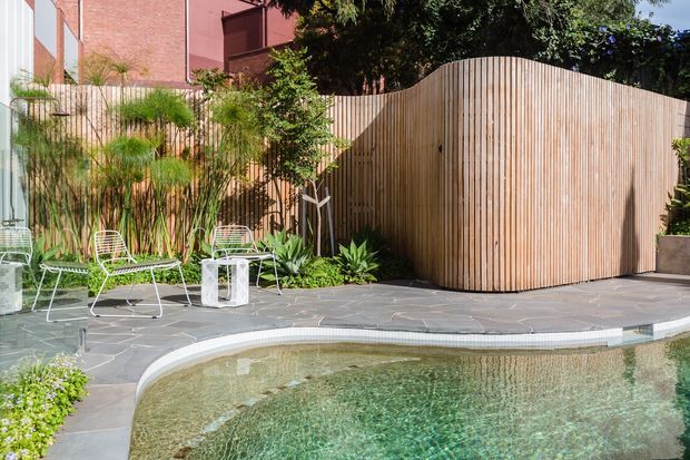 A landscaped residential courtyard with a curved swimming pool, pale stone paving, sculptural timber slat privacy fencing, lush planting, and a small outdoor seating area. A red-brick building is visible behind the fence, while the pool and garden dominate the scene.