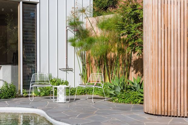 A landscaped outdoor poolside terrace beside a contemporary building, featuring pale grey irregular stone paving, white wire-frame lounge chairs, lush ornamental grasses and tropical planting, a vertical timber privacy screen, and white-framed glazing. A curved pool edge is visible in the foreground.