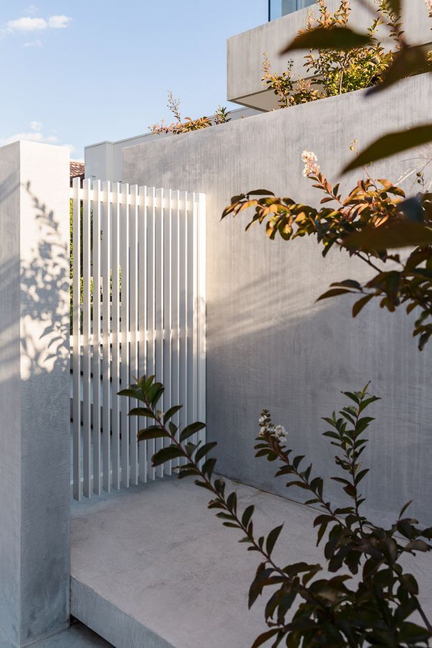 A minimalist modern residential exterior showing a pale grey rendered or concrete courtyard wall, a white vertical-slat privacy gate, and a raised upper-level volume with planted foliage. A light concrete pathway or terrace is framed by landscaping in bright daylight.
