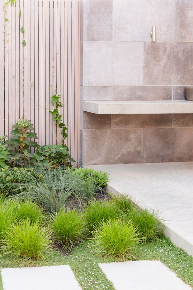 A landscaped residential courtyard or garden entry featuring layered ornamental grasses and climbing plants beside a vertical timber slat screen. A raised concrete or tiled platform with a built-in bench or ledge is set against a large-format warm grey-brown tiled wall, with pale stepping slabs leading through the planting.