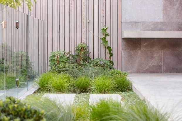 A contemporary landscaped courtyard or garden beside a building, featuring layered ornamental grasses, low planting, climbing greenery, a vertical timber slat privacy screen, frameless glass fencing, and large-format grey-brown tiled wall and paving surfaces. The space feels calm, refined, and strongly connected to modern architecture.