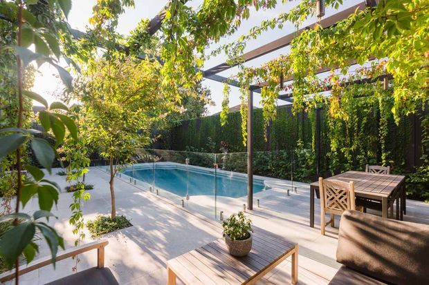 A landscaped outdoor entertaining area beside a rectangular swimming pool, featuring a timber deck with outdoor lounge and dining furniture, a glass pool fence, lush vertical greenery, and a slim timber pergola structure overhead. The scene is sunlit, leafy, and private.