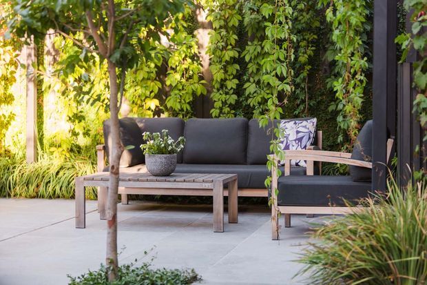A leafy outdoor lounge area with dark cushioned seating, a timber coffee table, and a timber-framed armchair arranged on a large-format paved patio. Dense greenery, climbing plants, and ornamental grasses create a secluded garden setting.