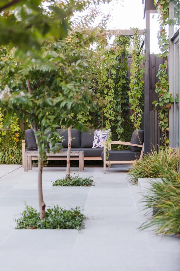 A landscaped courtyard or patio with pale large-format paving, integrated planted tree beds, dense green foliage, climbing vines, and ornamental grasses. A dark outdoor lounge sofa with timber arms sits beneath a simple overhead frame beside a contemporary building facade, creating a private garden seating area.