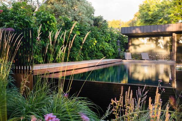 A landscaped outdoor pool area with a long reflective swimming pool beside a contemporary pavilion. Dense ornamental planting, tall grasses, shrubs and trees surround the pool, while the pavilion features dark horizontal cladding, broad glazing and an outdoor seating area.