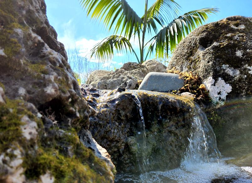 Total Transformation