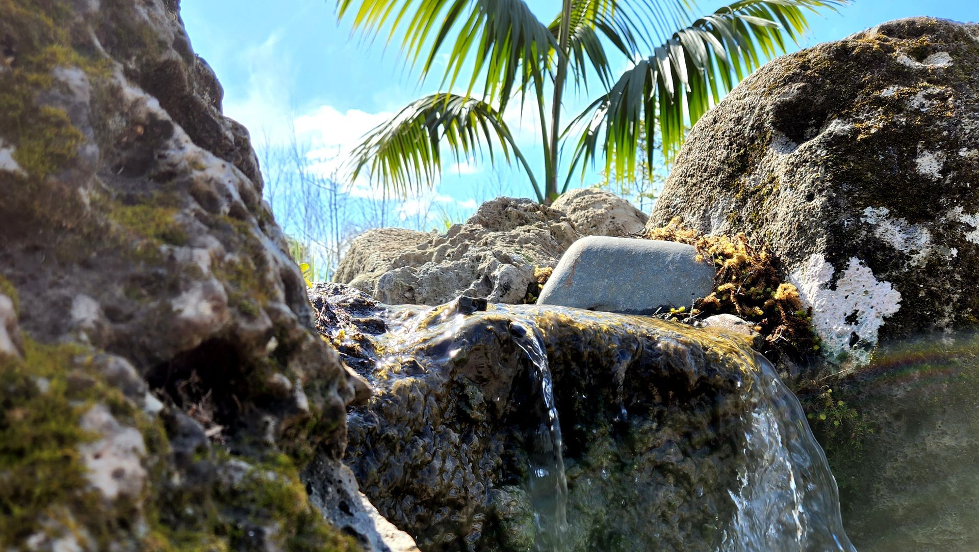 Total Transformation banner