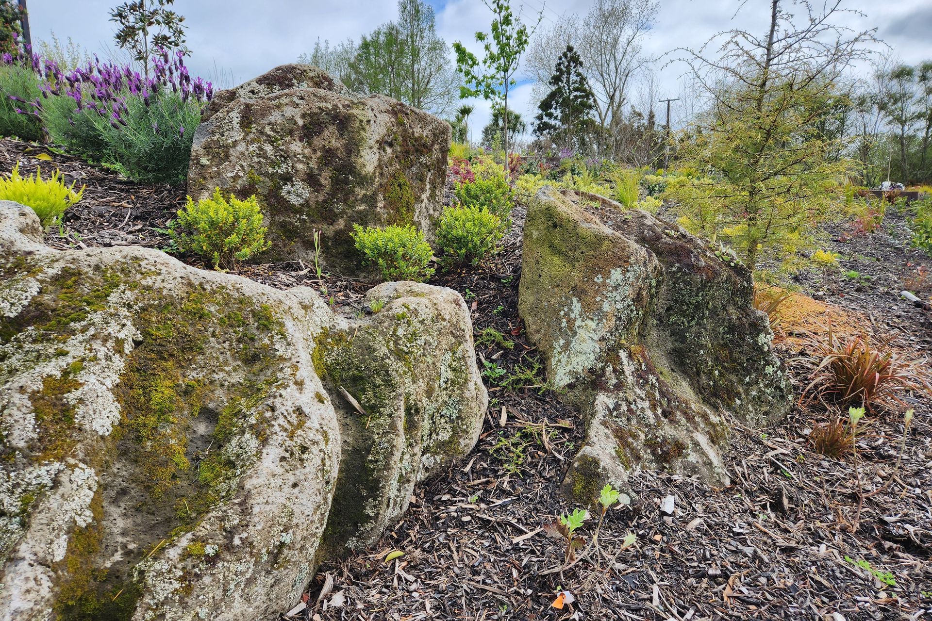 Total Transformation