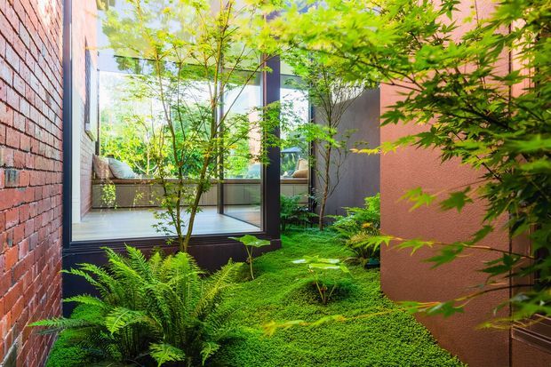 A lush, enclosed courtyard garden viewed from outdoors, framed by red brick walls, dark-framed floor-to-ceiling glazing, and a warm terracotta rendered wall. Dense moss-like groundcover, ferns, Japanese maple foliage, and slender trees create a tranquil green setting around the building.