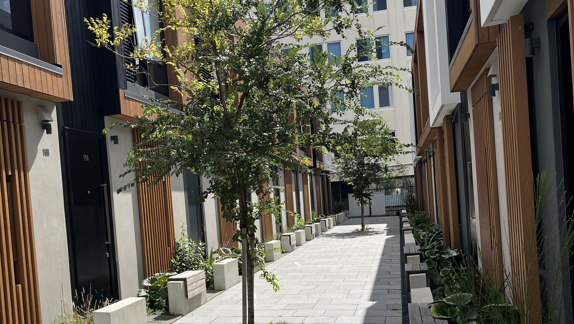 THE PADDINGTON, WELLINGTON banner