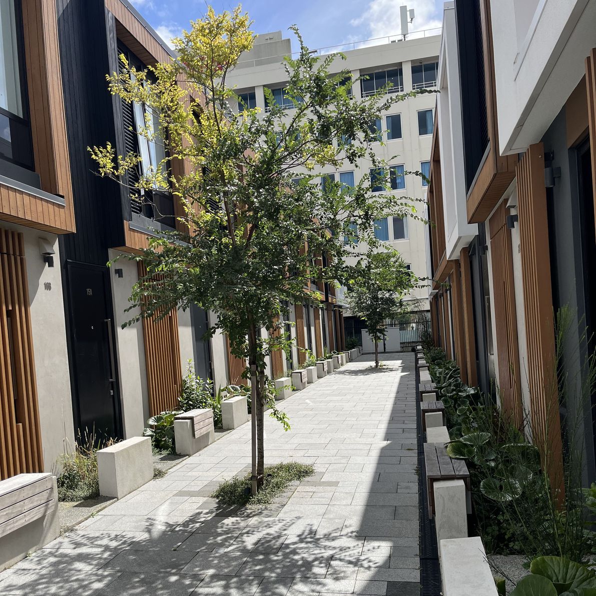 20230301230127476iOS.jpg