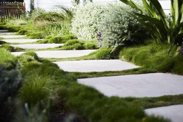A landscaped garden walkway with large pale concrete stepping slabs set through lush ornamental grasses and dense green planting. The informal path curves gently through the garden, with timber screening visible in the background and large architectural foliage framing the right side.