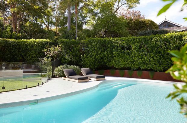 A bright landscaped residential pool area with a large curving swimming pool, pale paved pool deck, glass safety fencing, and two dark sun loungers. Dense manicured hedges and mature trees surround the space, with part of a tiled-roof house visible beyond.
