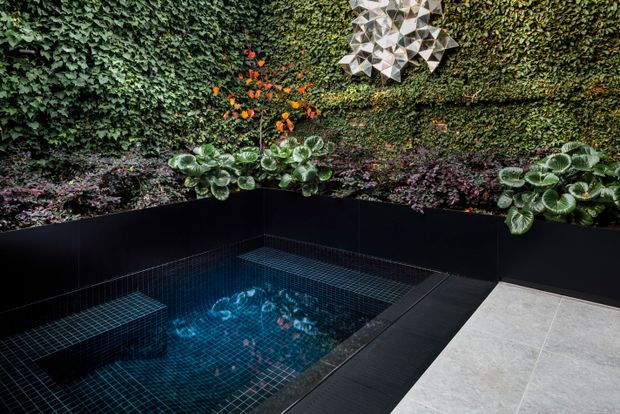 A compact courtyard pool area featuring a dark tiled plunge pool with integrated steps and bench seating, surrounded by black raised planter walls and dense vertical greenery. A pale tiled terrace borders the pool, with sculptural wall art and layered planting adding decorative detail.