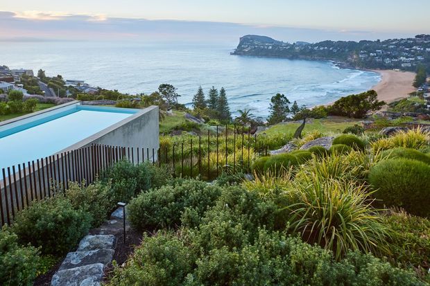 A landscaped coastal property overlooking a curving sandy beach and headland. In the foreground, dense sculptural planting surrounds a stone garden path and a dark vertical-slat fence. A rectangular infinity-edge swimming pool and concrete-clad structure sit to the left, with the ocean and coastal residential landscape beyond.