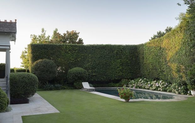 A meticulously landscaped formal garden courtyard with clipped box hedges, rounded topiary, a manicured lawn, paved path, flowering hydrangeas, and a narrow curved swimming pool. A partial traditional-style house is visible at the left edge.