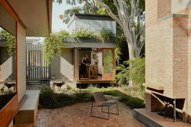 A landscaped residential courtyard viewed between contemporary brick and timber-clad structures. The space features a brick-paved patio, mature tree, low planting, a slim outdoor chair, a built-in brick fireplace, and a compact grey studio or living pavilion with a planted roof edge and glazed timber door. A person and pets are visible but are not central to the architectural composition.