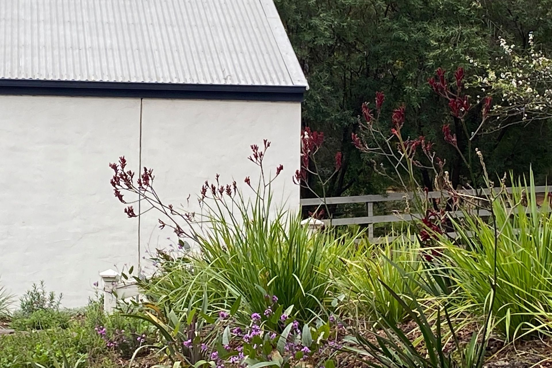 House Among The Gum Trees