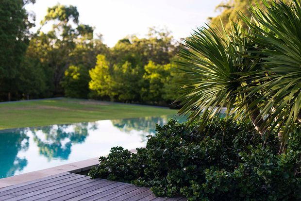 A landscaped outdoor pool area with a calm reflective swimming pool, timber decking in the foreground, and dense tropical planting including a fan palm and clipped shrubs. The scene is sunlit, secluded, and surrounded by mature greenery.