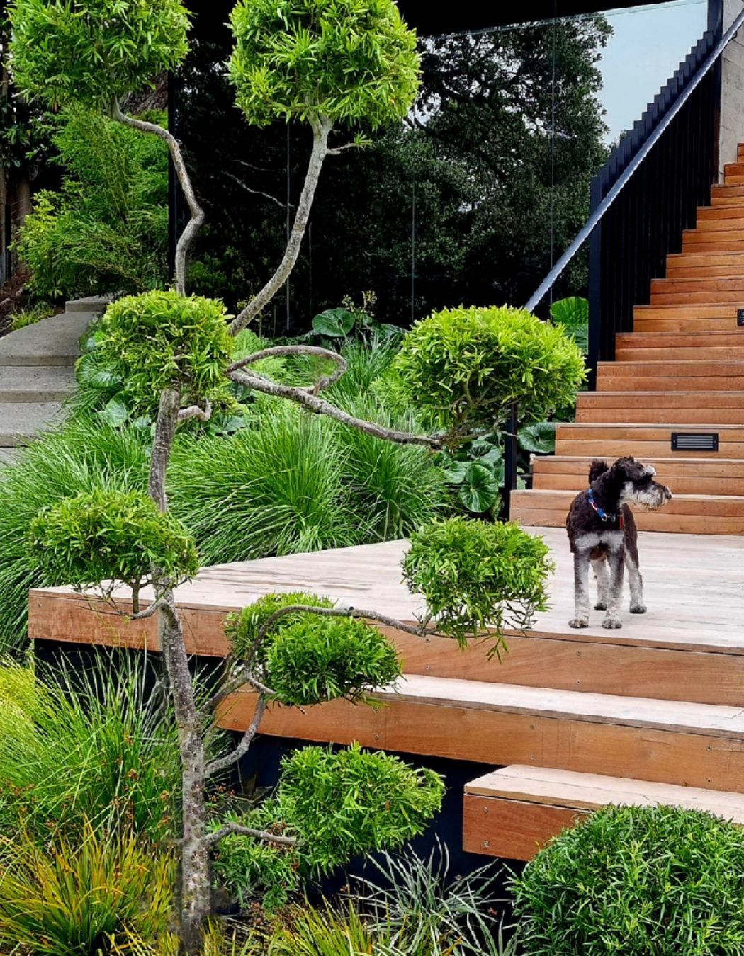 Birkenhead Point Garden
