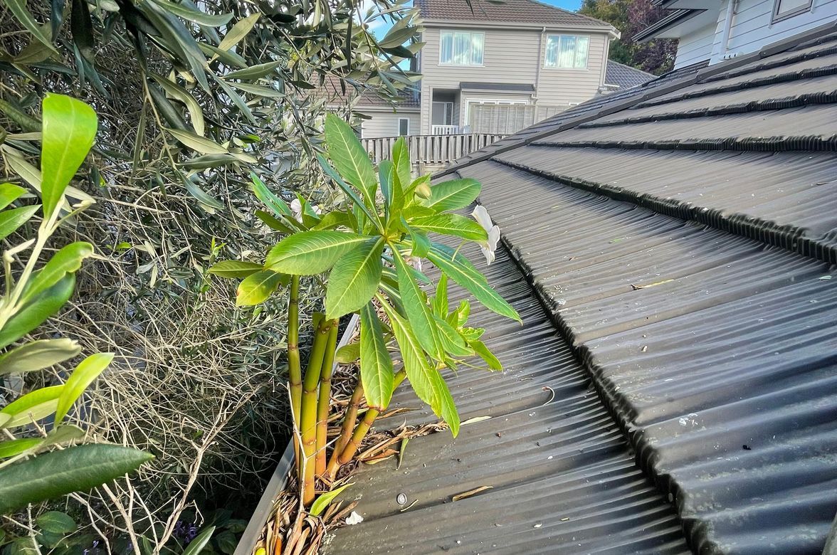 Before and After Photos