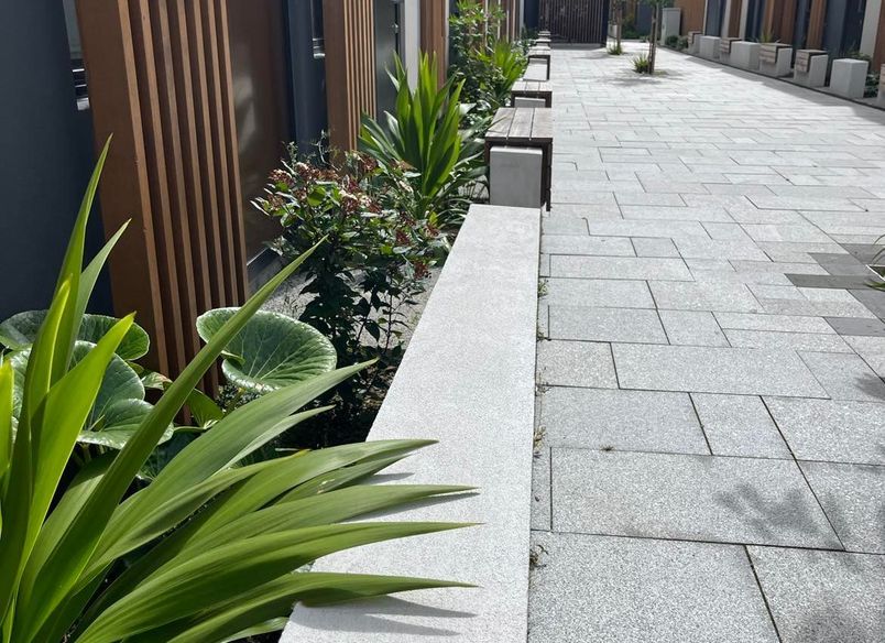 THE PADDINGTON, WELLINGTON