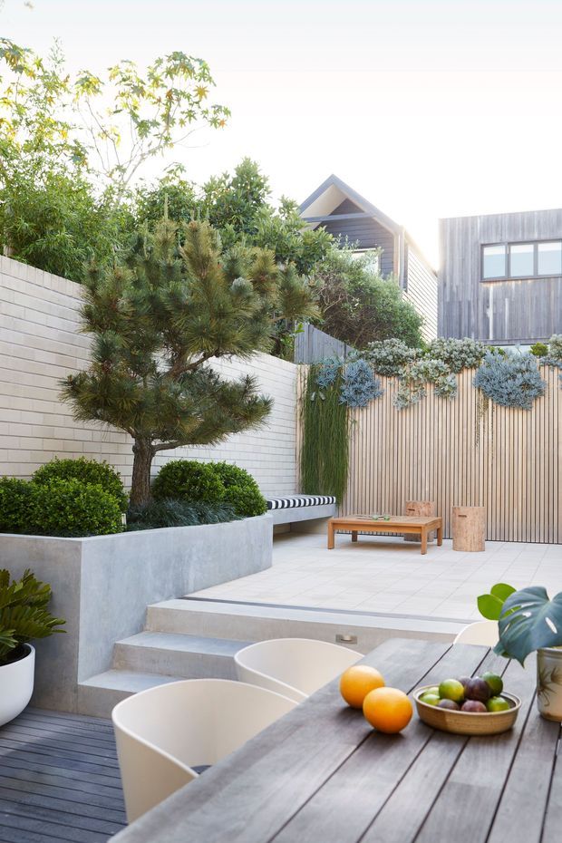 A landscaped contemporary courtyard and outdoor entertaining area with pale tiled paving, raised concrete planters, sculptural planting, a timber privacy screen, bench seating, and a low timber outdoor table in the foreground. Modern timber-clad buildings with pitched and box-like forms are visible beyond the courtyard.