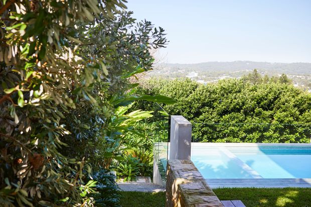 A landscaped outdoor pool area viewed through dense greenery, with a rectangular swimming pool, stone-clad dividing wall, glass pool fence, and distant suburban hills beyond the garden.