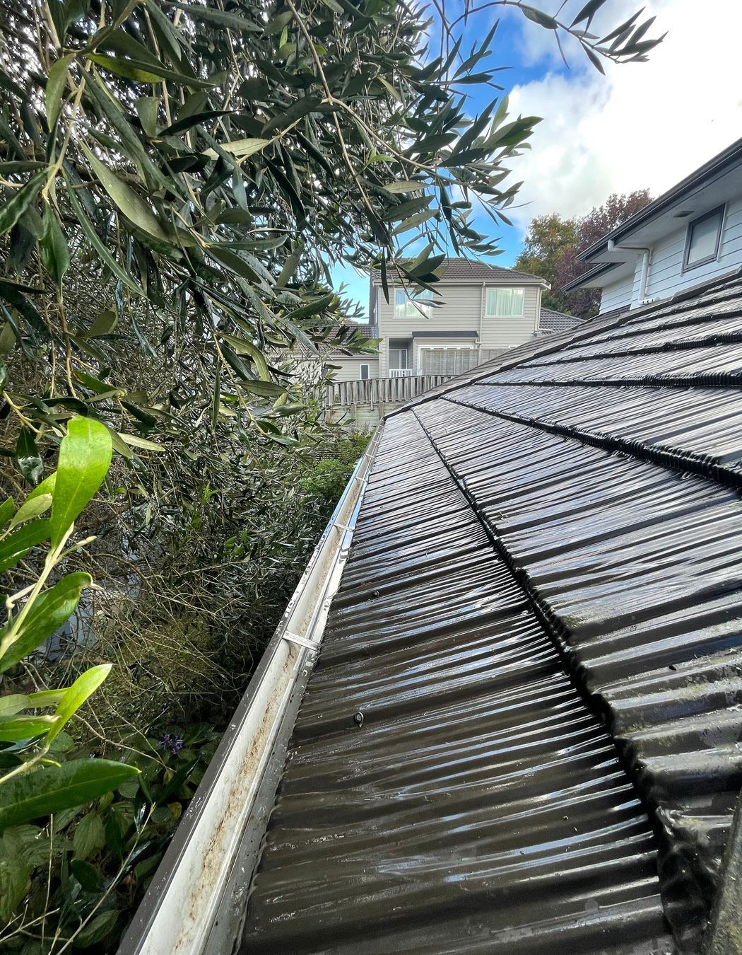 Before and After Photos