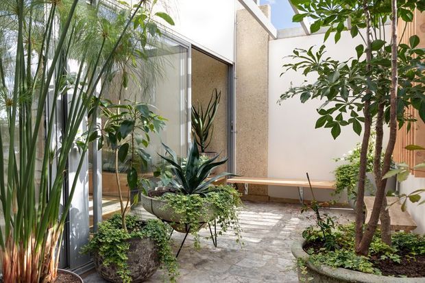 A tranquil enclosed courtyard with lush planting, mature trees, sculptural potted greenery, pale stone paving, and a built-in timber bench. Glazed doors and windows open onto the courtyard, while white rendered walls and a partially open skylit roof create a bright, private outdoor room.