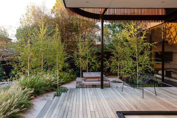 A landscaped outdoor terrace with a broad timber deck, built-in covered roof structure, slatted privacy screening, and a dining table surrounded by ornamental grasses and slender trees. Dark framed architectural elements contrast with the light timber decking, creating a contemporary garden entertaining space.