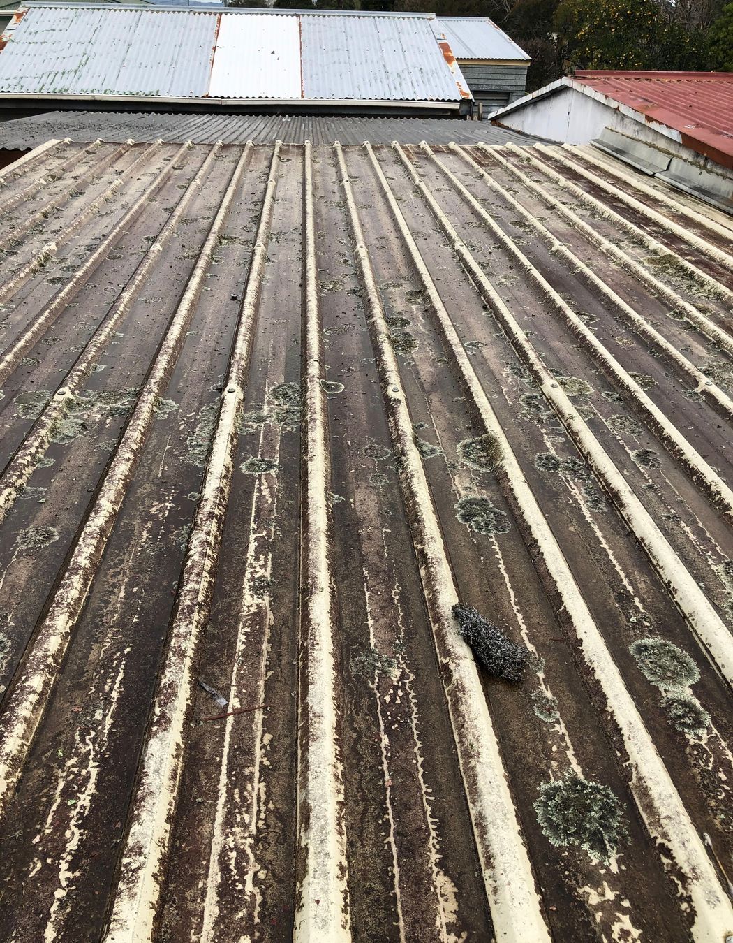 Before and After Photos