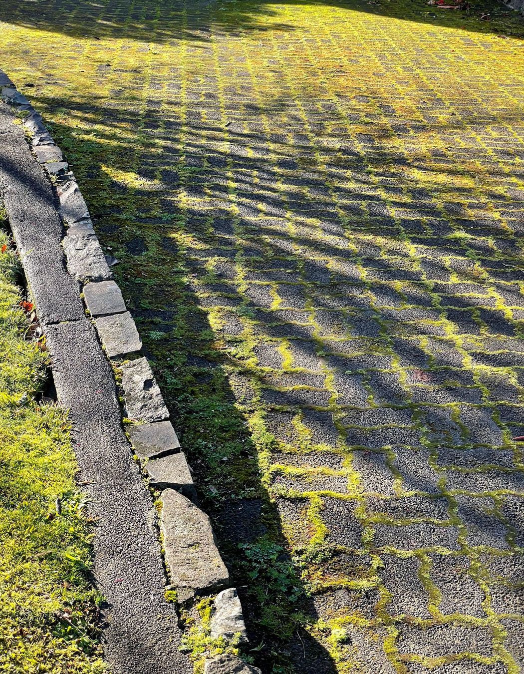 Before and After Photos