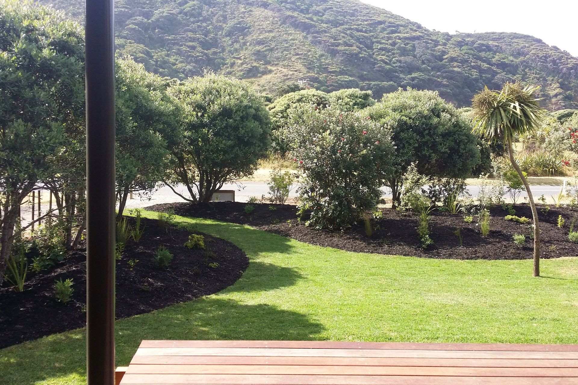 Jackie Meiring Photography