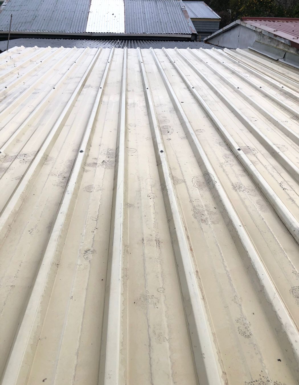 Before and After Photos