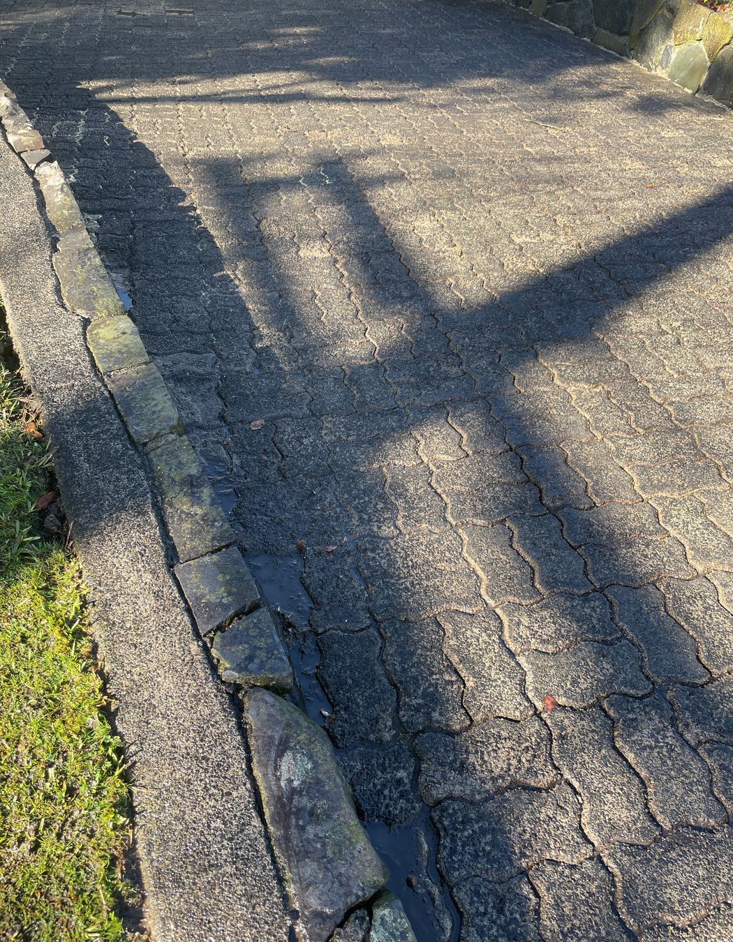 Before and After Photos