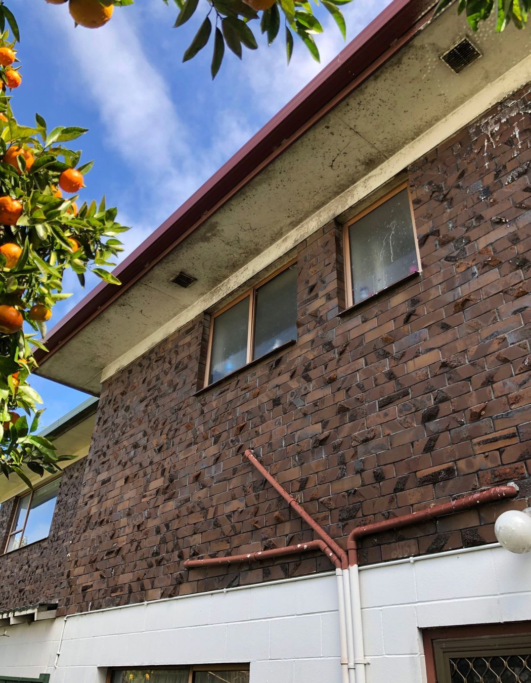 Before and After Photos