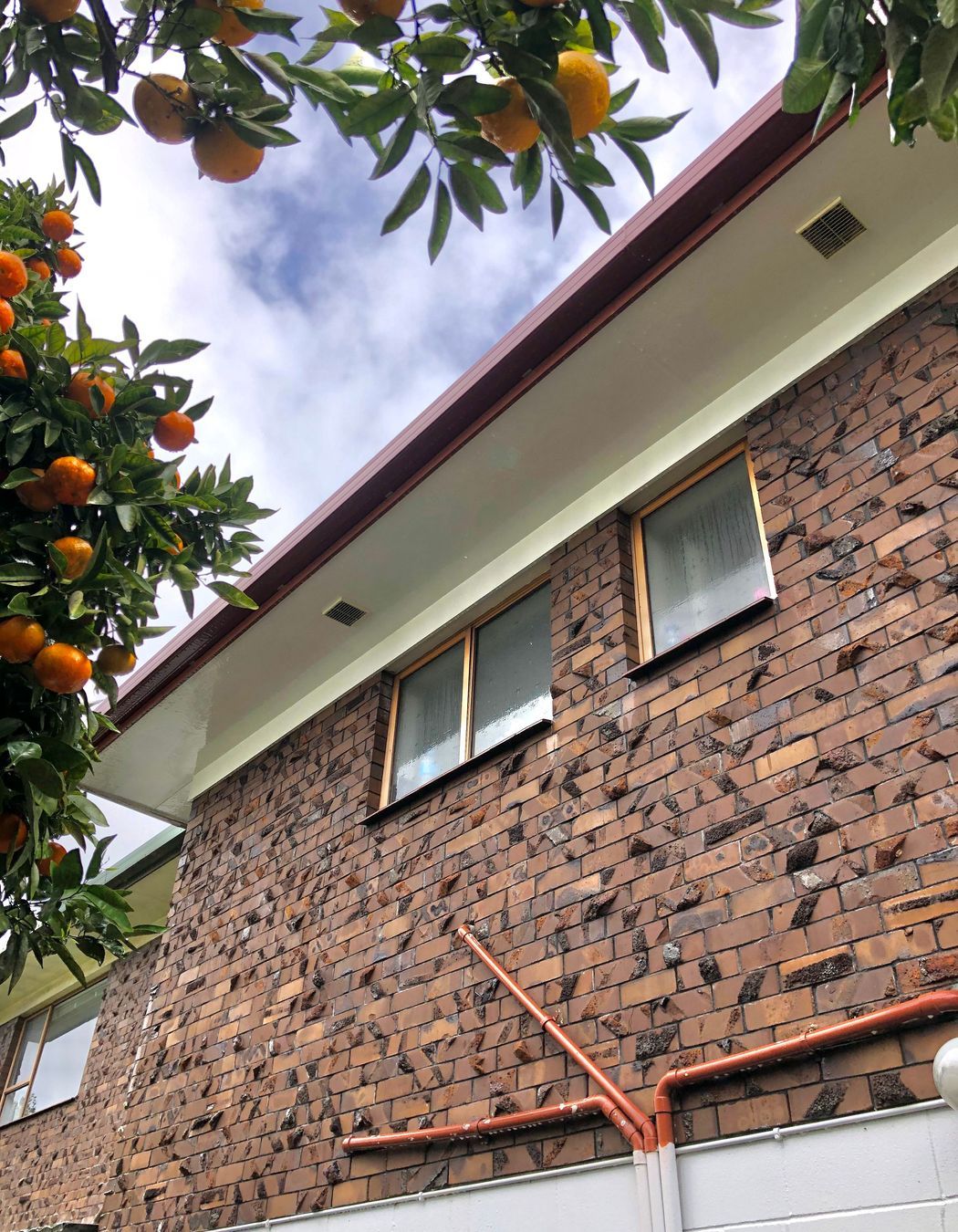 Before and After Photos