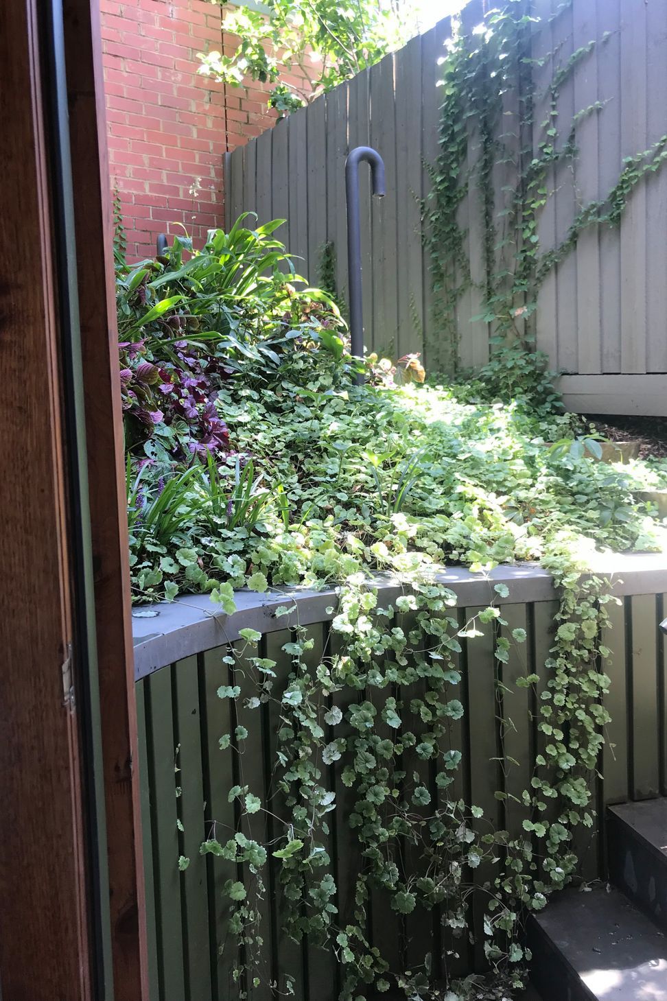 ##^^**&amp;&amp;'Welkin', Colourful Rooftop Terrace &amp; 'Scarborough' Garden In Clifton Hill