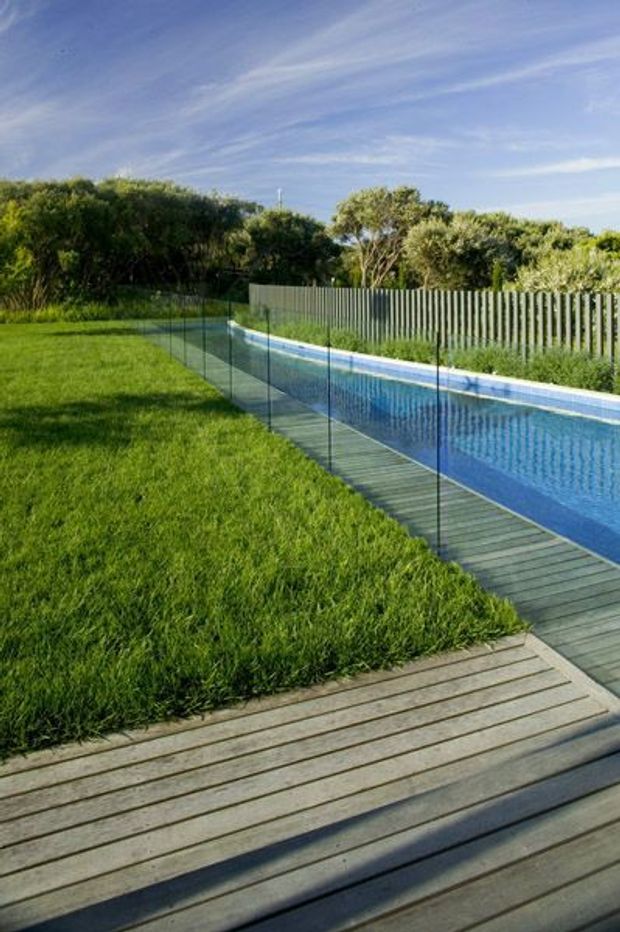 A landscaped outdoor pool area featuring a long narrow blue swimming pool bordered by frameless glass safety fencing, timber decking and a grey vertical-slat privacy fence. The pool sits beside a broad green lawn and dense planting under a bright blue sky.