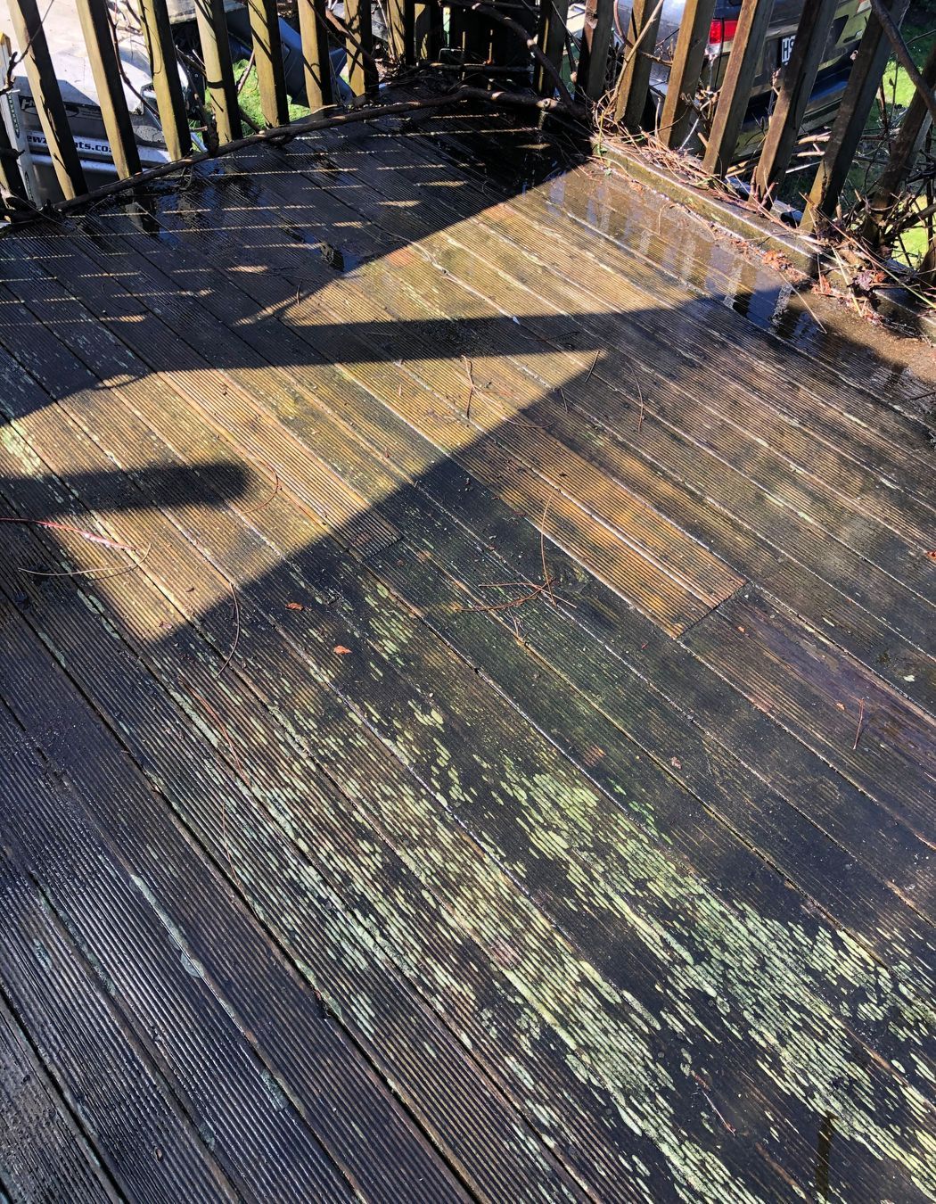 Before and After Photos