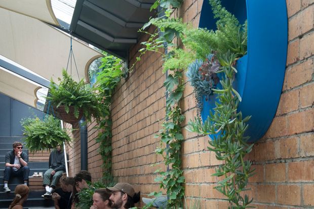A narrow brick-lined outdoor courtyard or terrace with lush hanging ferns, climbing vines, and succulents mounted against the wall. A striking curved blue architectural feature contrasts with the warm brickwork, while several people sit along the edge beneath translucent canopy structures.