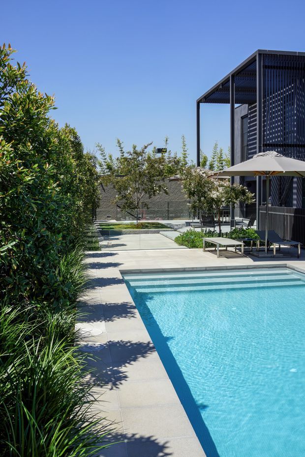A bright contemporary outdoor pool area with a rectangular swimming pool, pale concrete paving, dense landscaped planting, lounge seating and a large umbrella. A dark multi-level building with an open pergola-like roof structure and vertical screening frames the right side of the courtyard.
