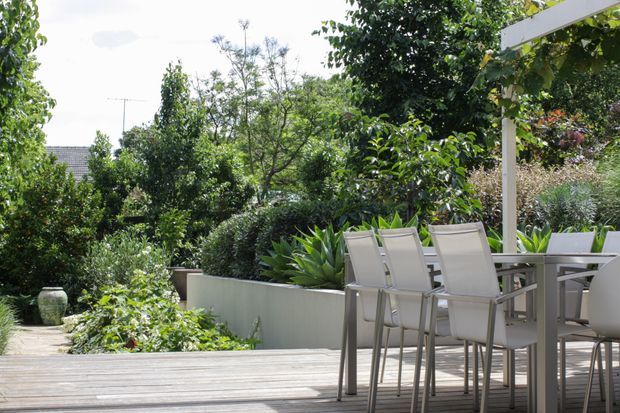 A bright landscaped outdoor dining terrace with a timber deck, white pergola structure, contemporary outdoor dining table and chairs, and lush layered garden planting in raised beds. The space appears private, green, and well suited to relaxed outdoor entertaining.