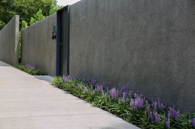 Exterior view of a minimalist property boundary with tall dark grey textured rendered walls, a recessed dark metal pedestrian gate, and a clean concrete walkway edged with linear planting of purple flowering grasses. Mature greenery is visible beyond the wall.