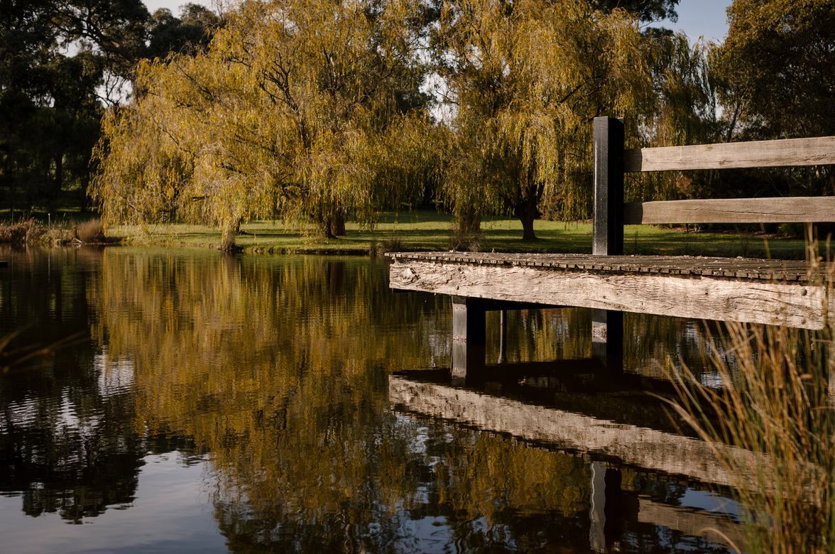 The Golden Willow Estate