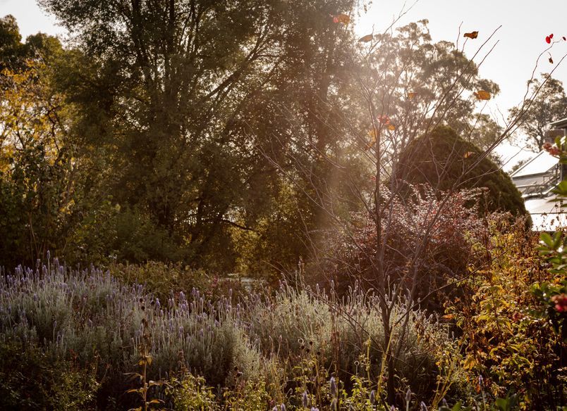 The Golden Willow Estate