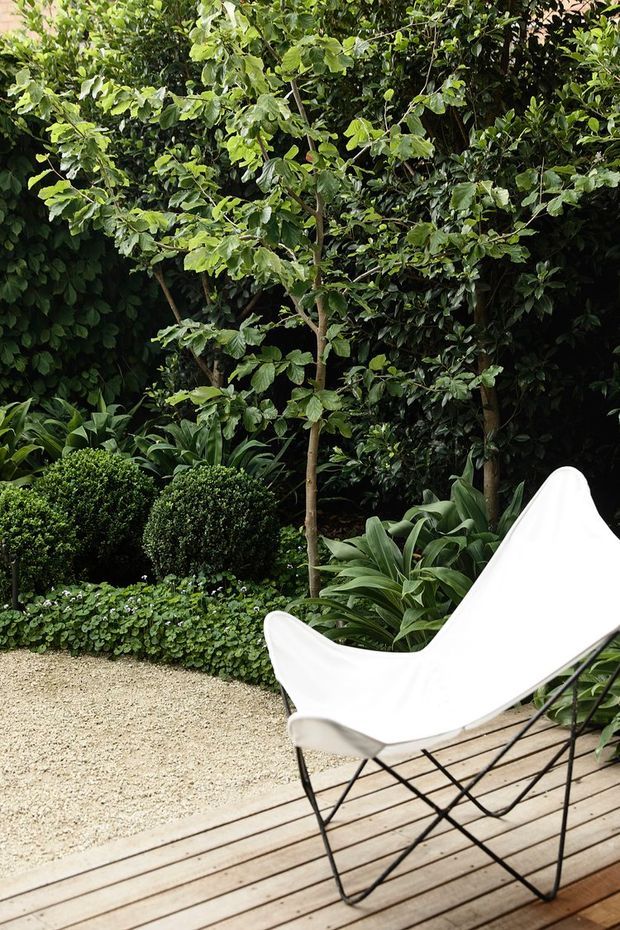 A lush landscaped garden courtyard with dense green planting, clipped spherical shrubs, and a white sling chair positioned on a timber deck beside a pale gravel path. The scene feels private, leafy, and relaxed, with the garden forming the dominant backdrop.