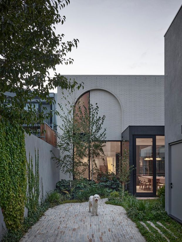 A refined residential courtyard viewed from an outdoor brick-paved path. The compact garden is enclosed by grey rendered and pale brick walls, with climbing greenery, layered planting and a mature tree. A contemporary home beyond features large glazed openings, dark-framed doors and a distinctive arched brick detail framing a tall opening. Warm interior lighting and a dining area are visible through the glazing, while a small dog stands on the path.