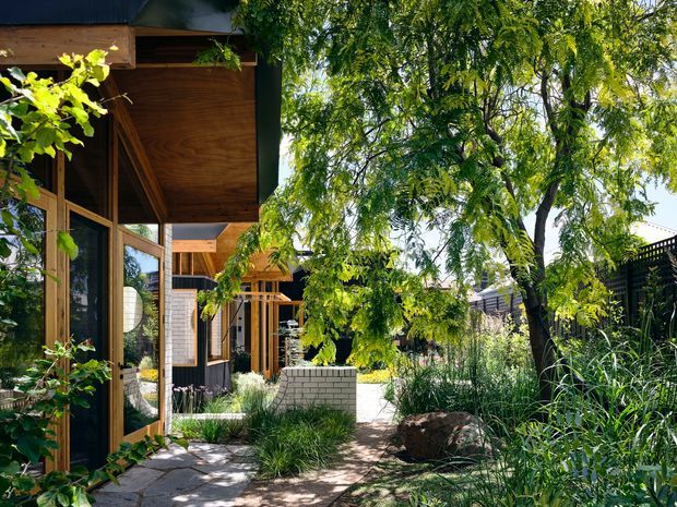 A leafy landscaped courtyard beside a contemporary timber-and-glass building. The facade features warm timber framing and soffits, dark cladding, extensive glazing, and a low pale masonry planter or wall. A paved path winds through ornamental grasses, shrubs, mature trees, and boulders, creating a sheltered garden setting.